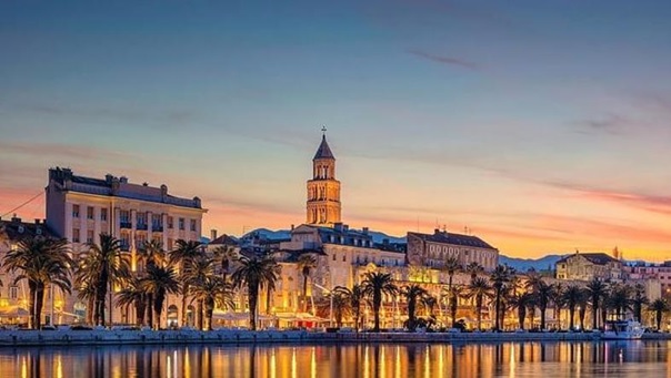 IPPA IPPA Advanced Courses In Paediatric Pathology